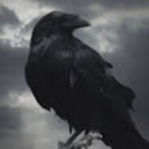 Meet your Posher, Craig